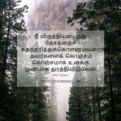 Picture 07 - யாத்திராகமம் 23:30 TAMIRV - நீ - Bible Verse Picture