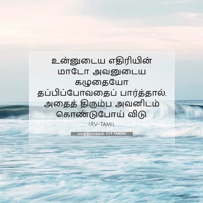 Picture 07 - யாத்திராகமம் 23:4 TAMIRV - உன்னுடைய - Bible Verse Picture