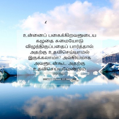 Picture 07 - யாத்திராகமம் 23:5 TAMIRV - உன்னைப் - Bible Verse Picture