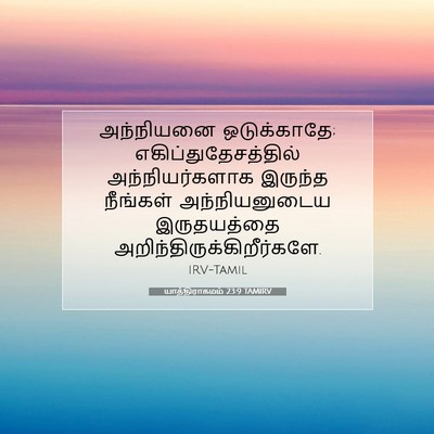 Picture 07 - யாத்திராகமம் 23:9 TAMIRV - அந்நியனை - Bible Verse Picture