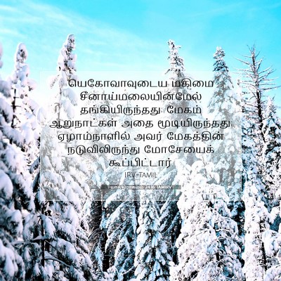 Picture 07 - யாத்திராகமம் 24:16 TAMIRV - யெகோவாவுடைய மகிமை - Bible Verse Picture