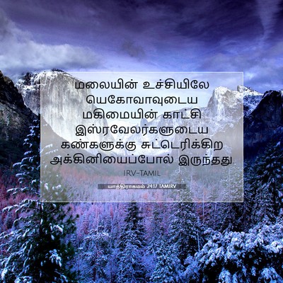 Picture 07 - யாத்திராகமம் 24:17 TAMIRV - மலையின் உச்சியிலே - Bible Verse Picture