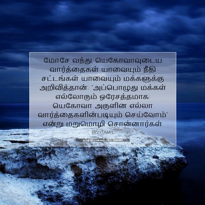 Picture 07 - யாத்திராகமம் 24:3 TAMIRV - மோசே வந்து, - Bible Verse Picture