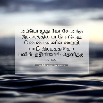 Picture 07 - யாத்திராகமம் 24:6 TAMIRV - அப்பொழுது மோசே - Bible Verse Picture