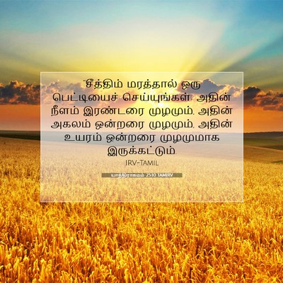 Picture 07 - யாத்திராகமம் 25:10 TAMIRV - “சீத்திம் - Bible Verse Picture