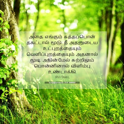 Picture 07 - யாத்திராகமம் 25:11 TAMIRV - அதை எங்கும் - Bible Verse Picture