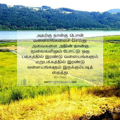 Picture 07 - யாத்திராகமம் 25:12 TAMIRV - அதற்கு நான்கு - Bible Verse Picture