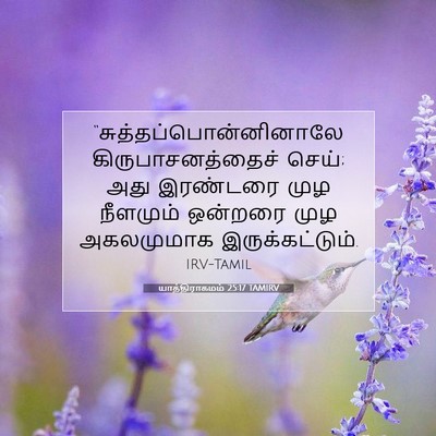 Picture 07 - யாத்திராகமம் 25:17 TAMIRV -  - Bible Verse Picture
