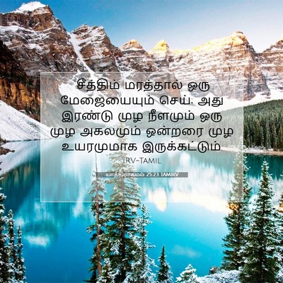 Picture 07 - யாத்திராகமம் 25:23 TAMIRV - “சீத்திம் - Bible Verse Picture