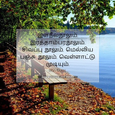 Picture 07 - யாத்திராகமம் 25:4 TAMIRV - இளநீலநூலும், - Bible Verse Picture