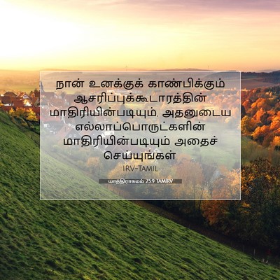 Picture 07 - யாத்திராகமம் 25:9 TAMIRV - நான் உனக்குக் - Bible Verse Picture