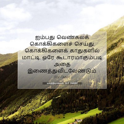 Picture 07 - யாத்திராகமம் 26:11 TAMIRV - ஐம்பது வெண்கலக் - Bible Verse Picture