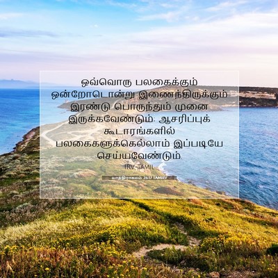 Picture 07 - யாத்திராகமம் 26:17 TAMIRV - ஒவ்வொரு - Bible Verse Picture