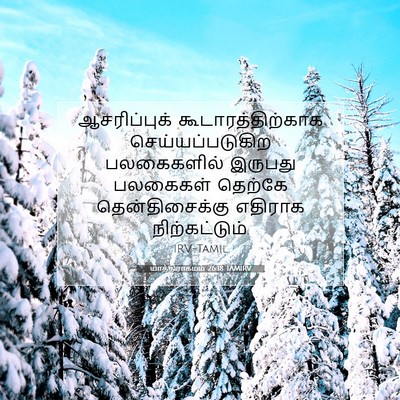 Picture 07 - யாத்திராகமம் 26:18 TAMIRV - ஆசரிப்புக் - Bible Verse Picture
