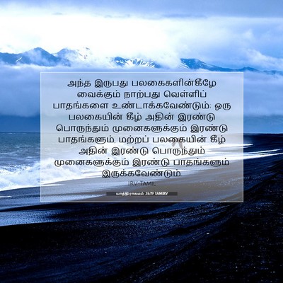 Picture 07 - யாத்திராகமம் 26:19 TAMIRV - அந்த இருபது - Bible Verse Picture