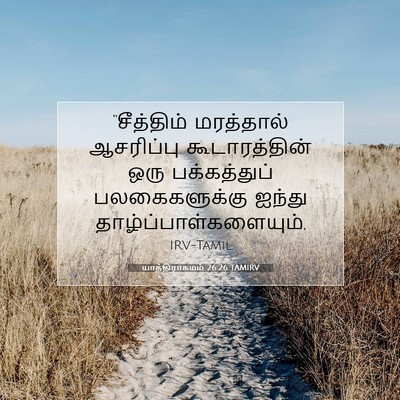 Picture 07 - யாத்திராகமம் 26:26 TAMIRV - “சீத்திம் - Bible Verse Picture