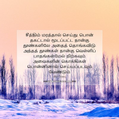 Picture 07 - யாத்திராகமம் 26:32 TAMIRV - சீத்திம் மரத்தால் - Bible Verse Picture