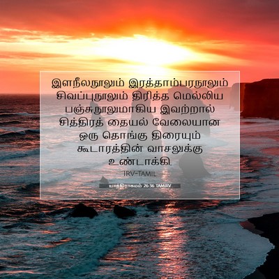 Picture 07 - யாத்திராகமம் 26:36 TAMIRV - இளநீலநூலும் - Bible Verse Picture