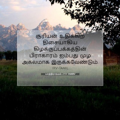 Picture 07 - யாத்திராகமம் 27:13 TAMIRV - சூரியன் உதிக்கிற - Bible Verse Picture