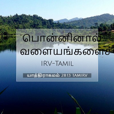 Picture 07 - யாத்திராகமம் 28:13 TAMIRV - “பொன்னினால் - Bible Verse Picture