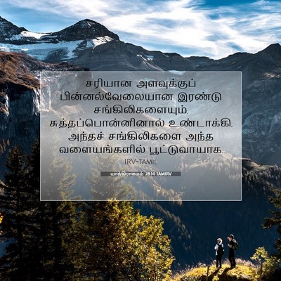 Picture 07 - யாத்திராகமம் 28:14 TAMIRV - சரியான அளவுக்குப் - Bible Verse Picture