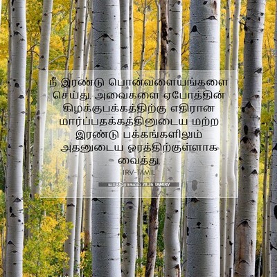 Picture 07 - யாத்திராகமம் 28:26 TAMIRV - நீ இரண்டு - Bible Verse Picture
