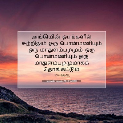 Picture 07 - யாத்திராகமம் 28:34 TAMIRV - அங்கியின் - Bible Verse Picture