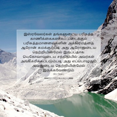 Picture 07 - யாத்திராகமம் 28:38 TAMIRV - இஸ்ரவேலர்கள் - Bible Verse Picture