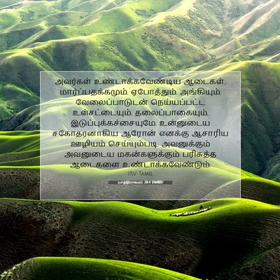 Picture 07 - யாத்திராகமம் 28:4 TAMIRV - அவர்கள் - Bible Verse Picture