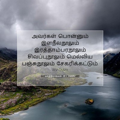 Picture 07 - யாத்திராகமம் 28:5 TAMIRV - அவர்கள் பொன்னும் - Bible Verse Picture