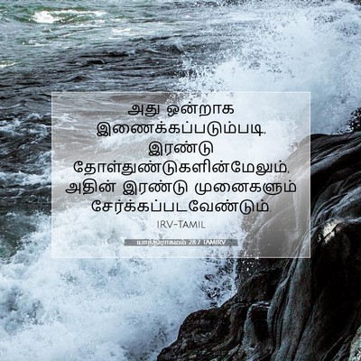 Picture 07 - யாத்திராகமம் 28:7 TAMIRV - அது ஒன்றாக - Bible Verse Picture