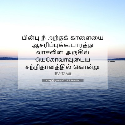 Picture 07 - யாத்திராகமம் 29:11 TAMIRV - பின்பு நீ அந்தக் - Bible Verse Picture