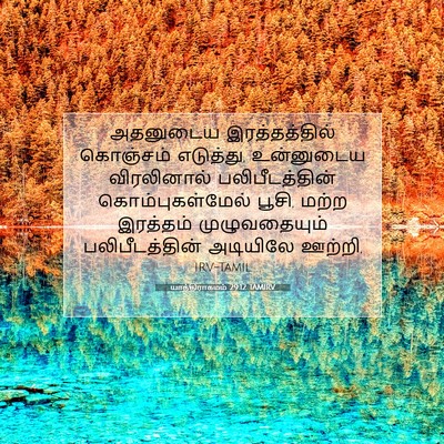 Picture 07 - யாத்திராகமம் 29:12 TAMIRV - அதனுடைய - Bible Verse Picture