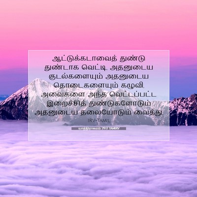Picture 07 - யாத்திராகமம் 29:17 TAMIRV - ஆட்டுக்கடாவைத் - Bible Verse Picture