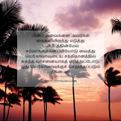 Picture 07 - யாத்திராகமம் 29:25 TAMIRV - பின்பு அவைகளை - Bible Verse Picture