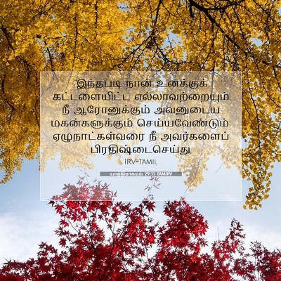 Picture 07 - யாத்திராகமம் 29:35 TAMIRV - “இந்தபடி நான் - Bible Verse Picture
