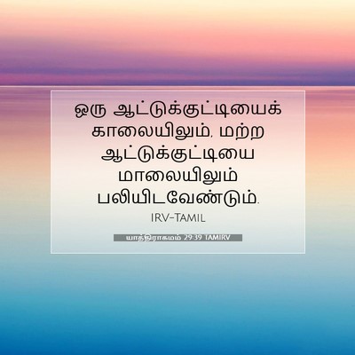 Picture 07 - யாத்திராகமம் 29:39 TAMIRV - ஒரு - Bible Verse Picture
