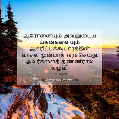 Picture 07 - யாத்திராகமம் 29:4 TAMIRV - ஆரோனையும் அவனுடைய - Bible Verse Picture
