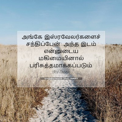 Picture 07 - யாத்திராகமம் 29:43 TAMIRV - அங்கே - Bible Verse Picture