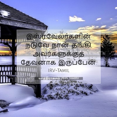 Picture 07 - யாத்திராகமம் 29:45 TAMIRV - இஸ்ரவேலர்களின் - Bible Verse Picture