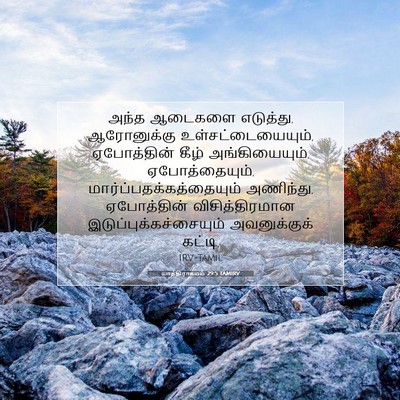 Picture 07 - யாத்திராகமம் 29:5 TAMIRV - அந்த ஆடைகளை - Bible Verse Picture