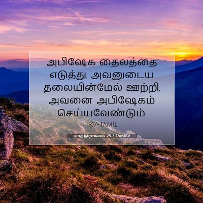 Picture 07 - யாத்திராகமம் 29:7 TAMIRV - அபிஷேக தைலத்தை - Bible Verse Picture