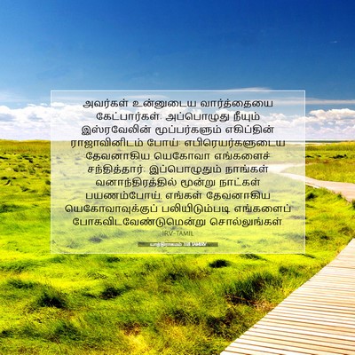 Picture 07 - யாத்திராகமம் 3:18 TAMIRV - அவர்கள் உன்னுடைய - Bible Verse Picture