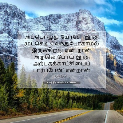 Picture 07 - யாத்திராகமம் 3:3 TAMIRV - அப்பொழுது மோசே: - Bible Verse Picture