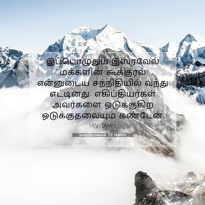 Picture 07 - யாத்திராகமம் 3:9 TAMIRV - இப்பொழுதும் - Bible Verse Picture