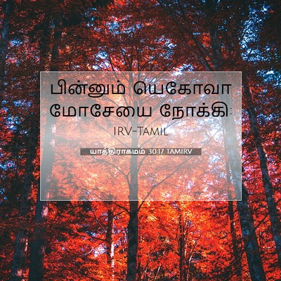 Picture 07 - யாத்திராகமம் 30:17 TAMIRV - பின்னும் யெகோவா - Bible Verse Picture