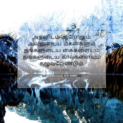 Picture 07 - யாத்திராகமம் 30:19 TAMIRV - அதனிடம் ஆரோனும் - Bible Verse Picture