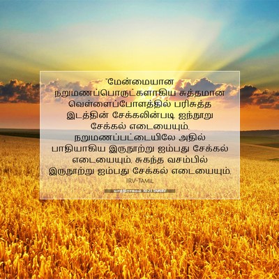 Picture 07 - யாத்திராகமம் 30:23 TAMIRV - “மேன்மையான - Bible Verse Picture