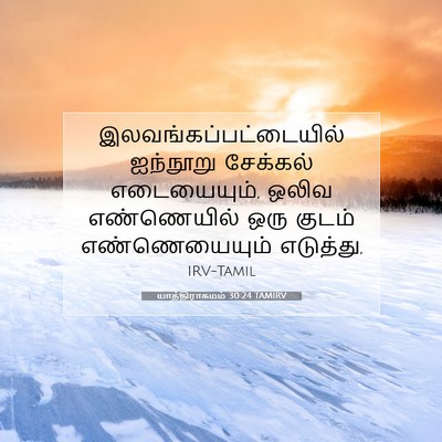 Picture 07 - யாத்திராகமம் 30:24 TAMIRV -  - Bible Verse Picture