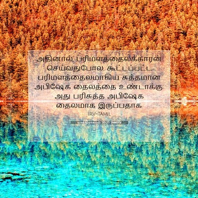 Picture 07 - யாத்திராகமம் 30:25 TAMIRV - அதினால், - Bible Verse Picture